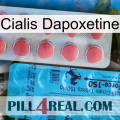 Cialis Dapoxetine new14